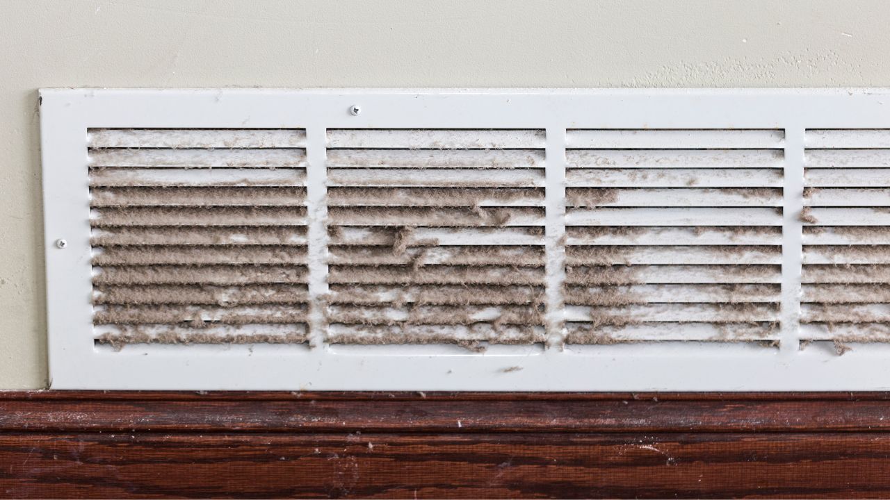 residential air duct with bacterial growth and contamination