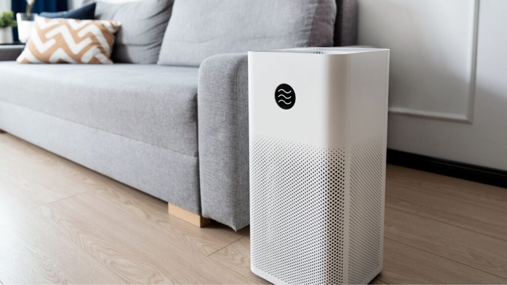 air purifier preventing molds and bacteria in the air