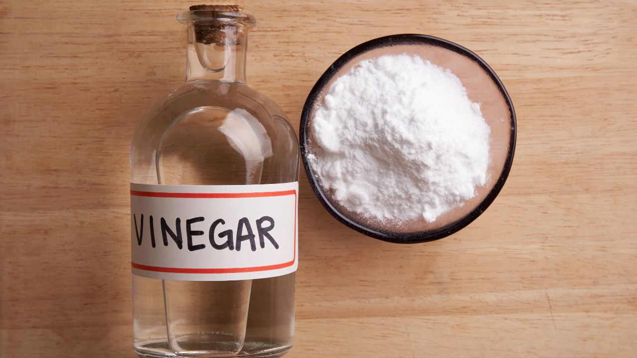 how homeopathic works in vinegar