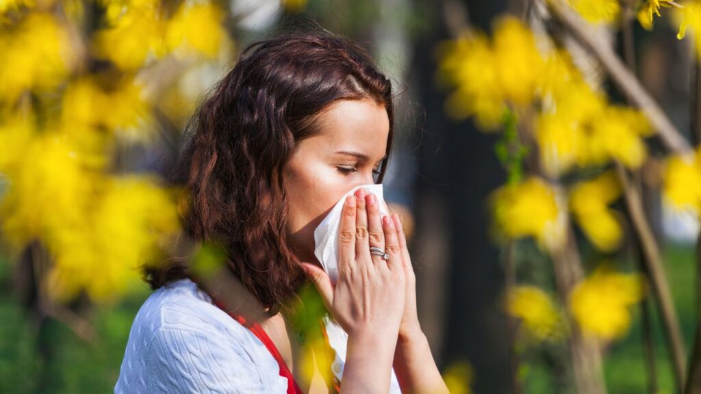 pollen and tree allergen allergies in norfolk